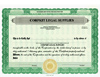 Custom Stock Certificates 1 Class Multi-Class Standard Certificate