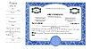 1 Class Side stub Multi-Class Certificates