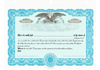 Atlas Eagle CorpKit Standard Wording Certificates 