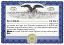 custom corporate stock certificate, eagle certificate